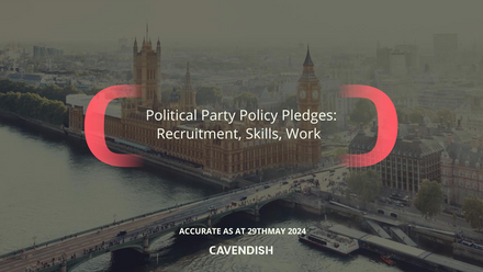 Political-Party-Policy-Pledges-Briefing-May-2024-3pdf.png